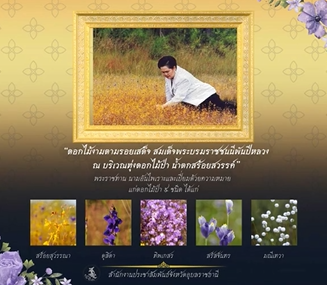 ดอกไม้งามตามรอยเสด็จ