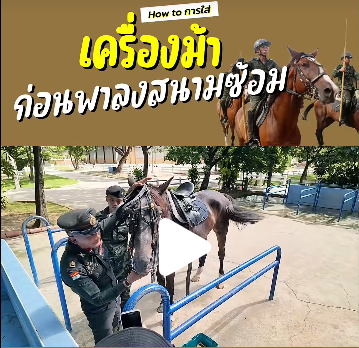 การใส่เครื่องม้า ก่อนพาลงสนามซ้อม